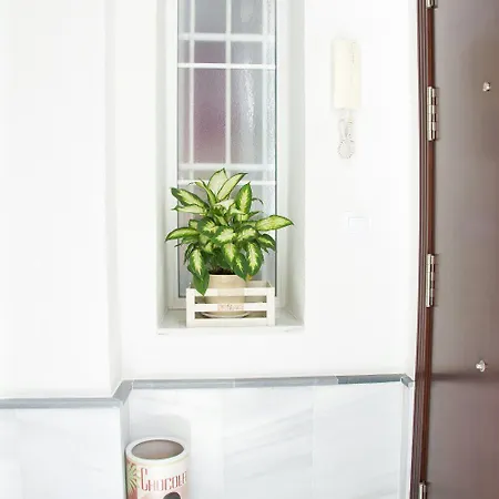 Apartment Centro Historico *