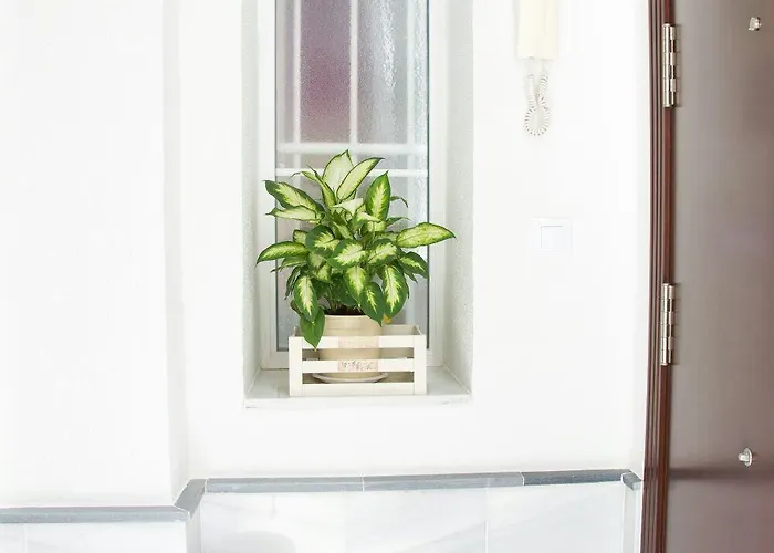 Apartman Centro Historico *